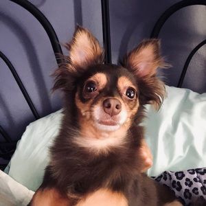 Meet your Posher, Erika